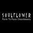 Verified By Soulflower.in – Flat 50% OFF Soulflower Coupon Codes